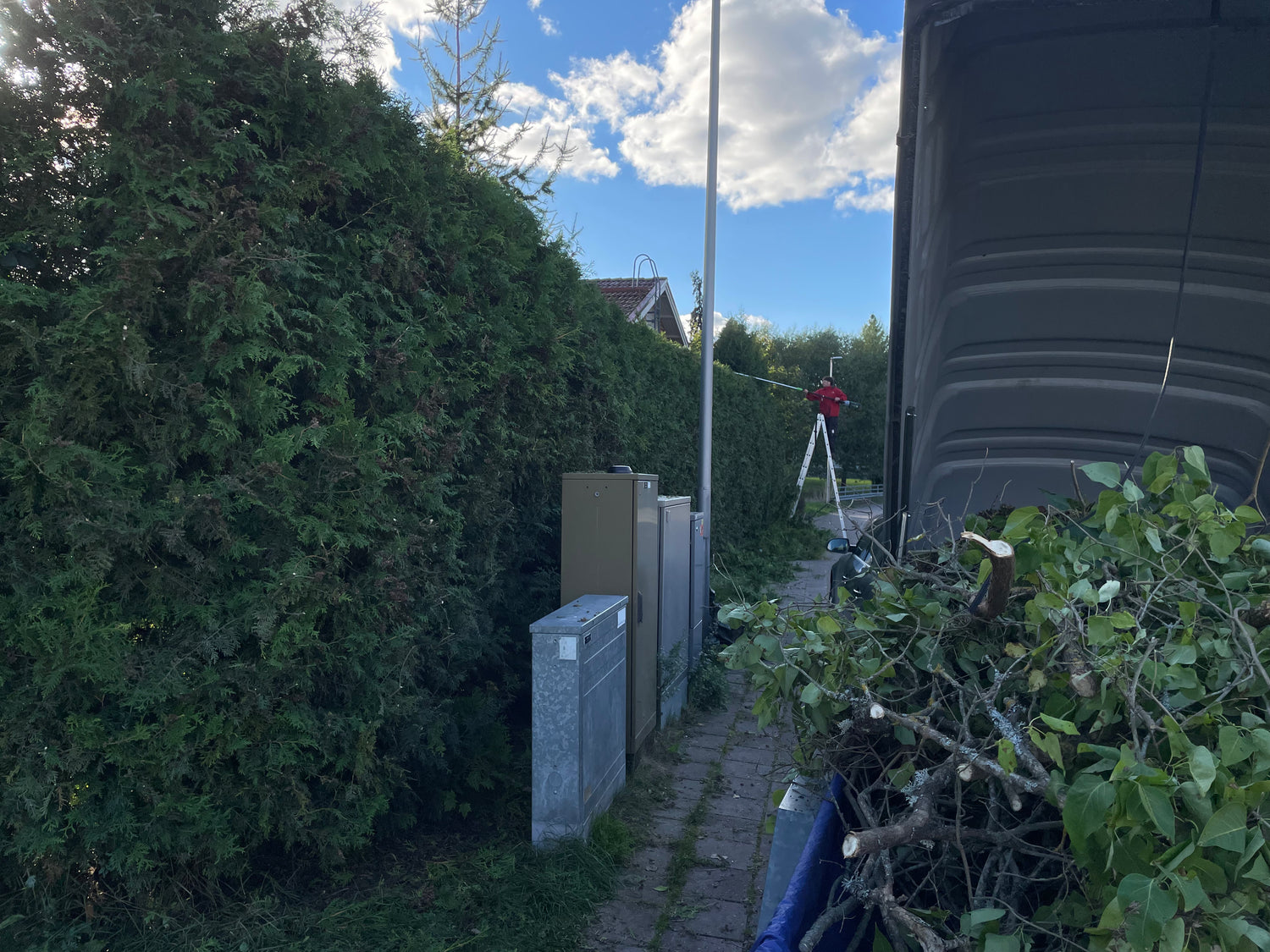 Tuija pensasaidan hoitoleikkaus siistiminen asiakkaana taloyhtiö Turun seudulla Raisiossa. Leikkausjätteet peräkärryssä ja viemme ne ilmaiseksi kaatopaikalle.